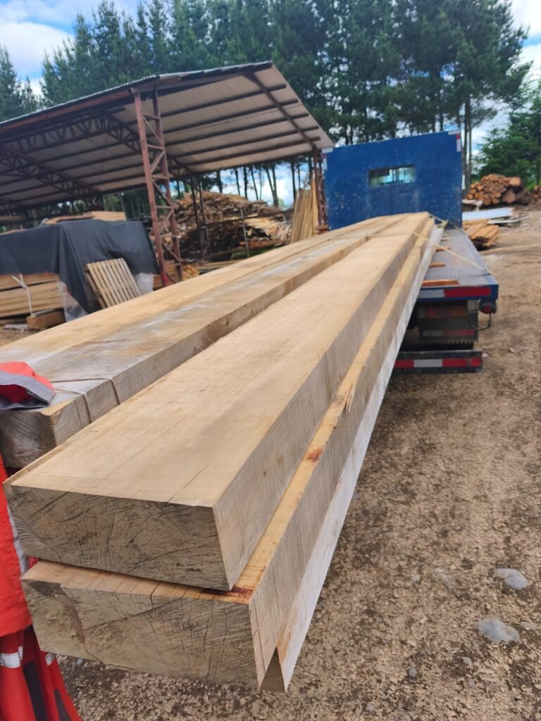 WhatsApp Image 2026-03-10 at 10.57.20 PM