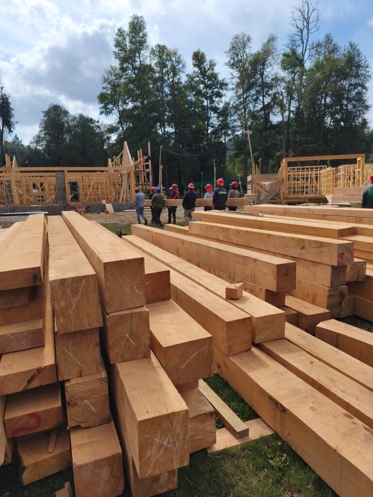 WhatsApp Image 2026-03-10 at 10.57.26 PM (3)