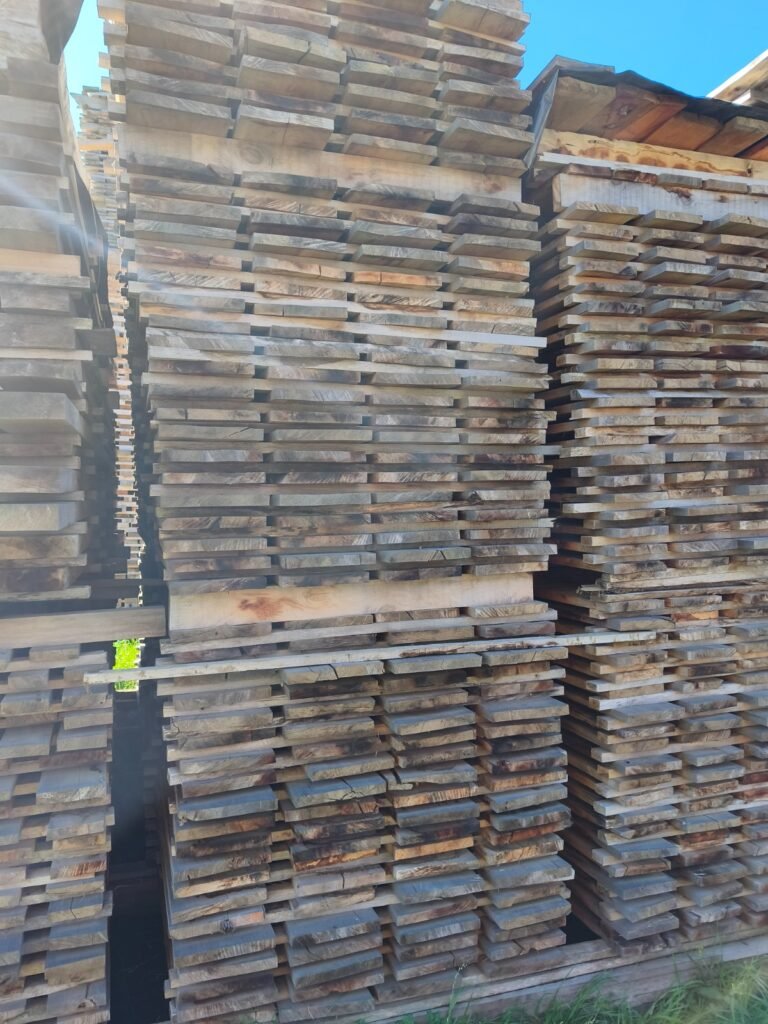 WhatsApp Image 2026-03-10 at 10.57.26 PM (4)