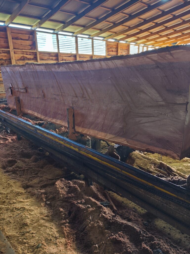 WhatsApp Image 2026-03-10 at 10.57.26 PM (5)