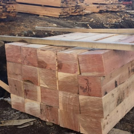 WhatsApp Image 2026-03-13 at 12.2133.34 PM